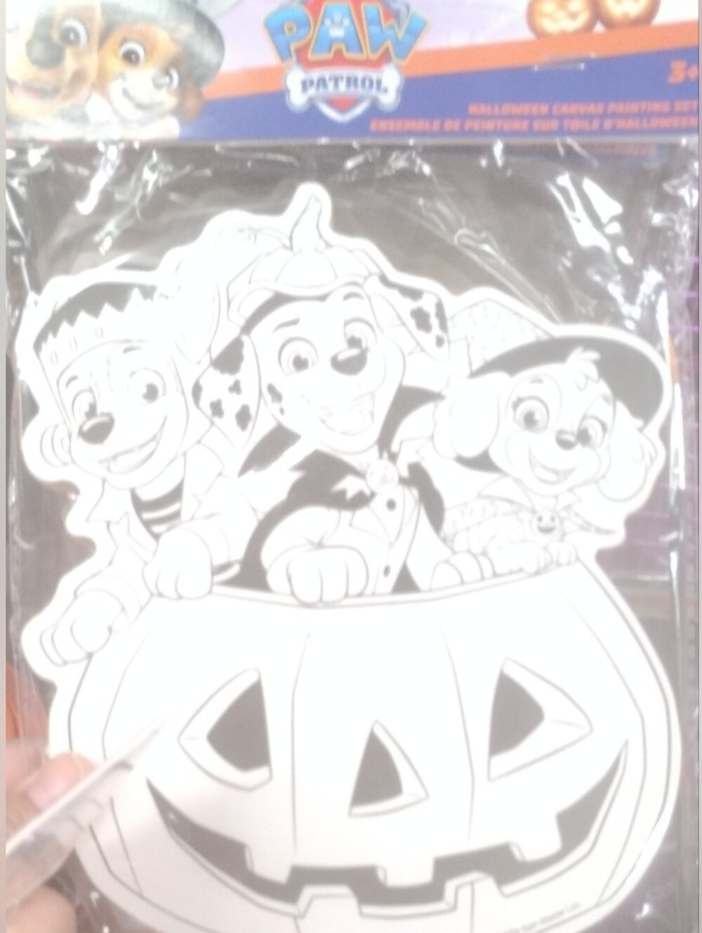 Kids Halloween Paw Patrol Art Canvas Paint it yourself Set - White